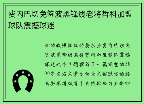 费内巴切免签波黑锋线老将哲科加盟球队震撼球迷